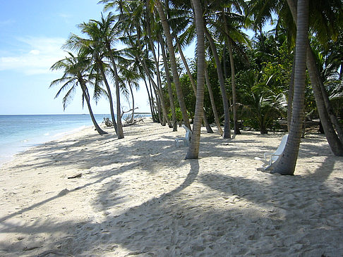 Fotos Der weiße Sandstrand