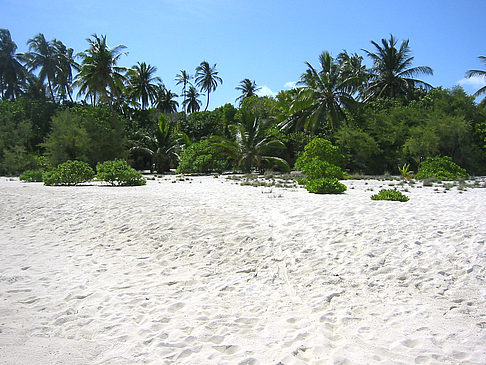 Foto Der weiße Sandstrand