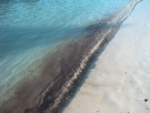Der weiße Sandstrand der Malediven Foto 