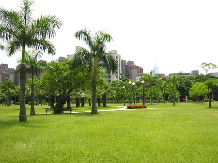 Fotos Daan Park
