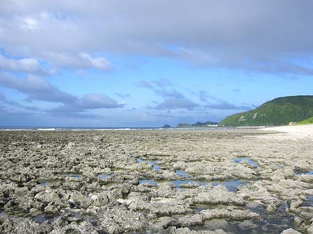 Green Island Foto 