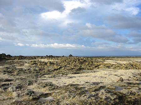 Fotos Green Island | 