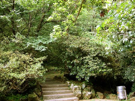 Yangminshan Fotos